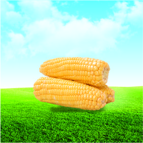 食品檢測項(xiàng)目