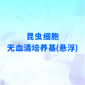 昆蟲細(xì)胞無血清培養(yǎng)基(懸浮)